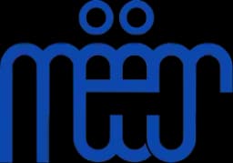 Meetsin Logo